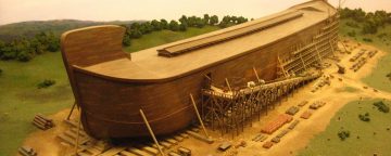 How are you preparing your ark?